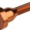Burgtec Top Cap Bolt Bronze -Rockshox Bike Shop 201895860a4d00f617100.39557974