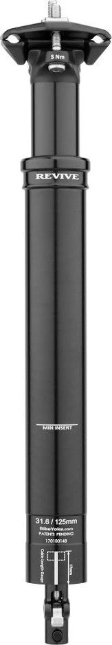 Internal Bike Yoke Revive Dropper Post (No Control)